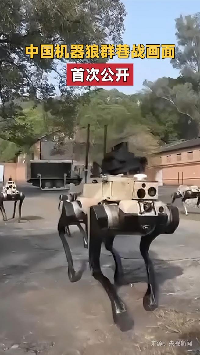 中国机器狼群巷战画面首次公开