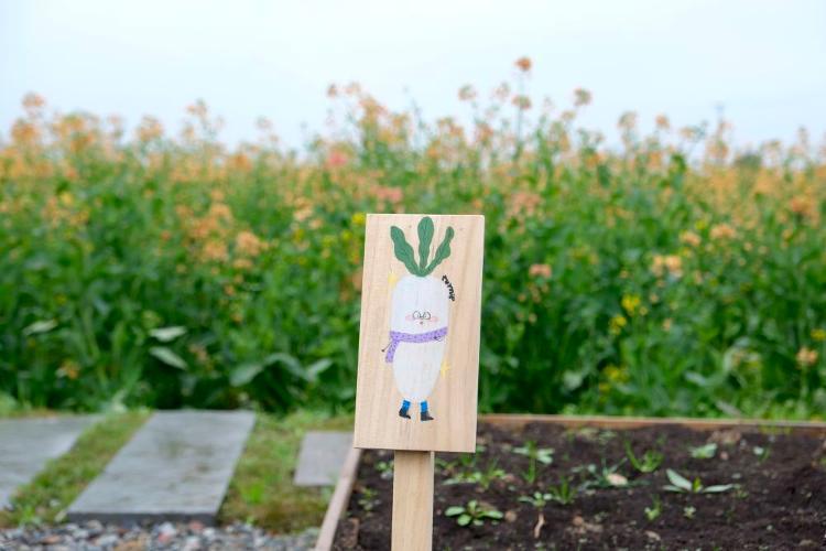 位于四川邛崃市高埂街道共富村的“共享菜园”一景。新华社发