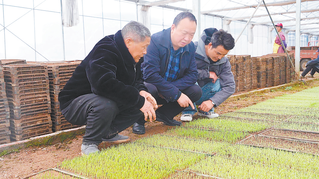 农资先行、农机助力、科技赋能，抚州各地奏响春耕“进行曲”