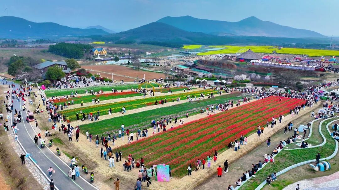 3月24日 (1)(7).jpg