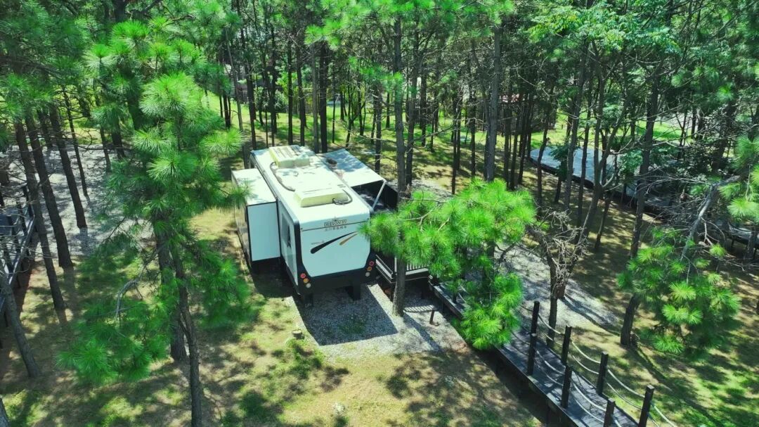 10月13日 (1)(8).jpg