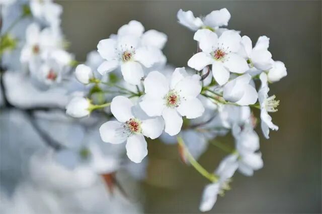 图源：新华社记者　郎兵兵　摄