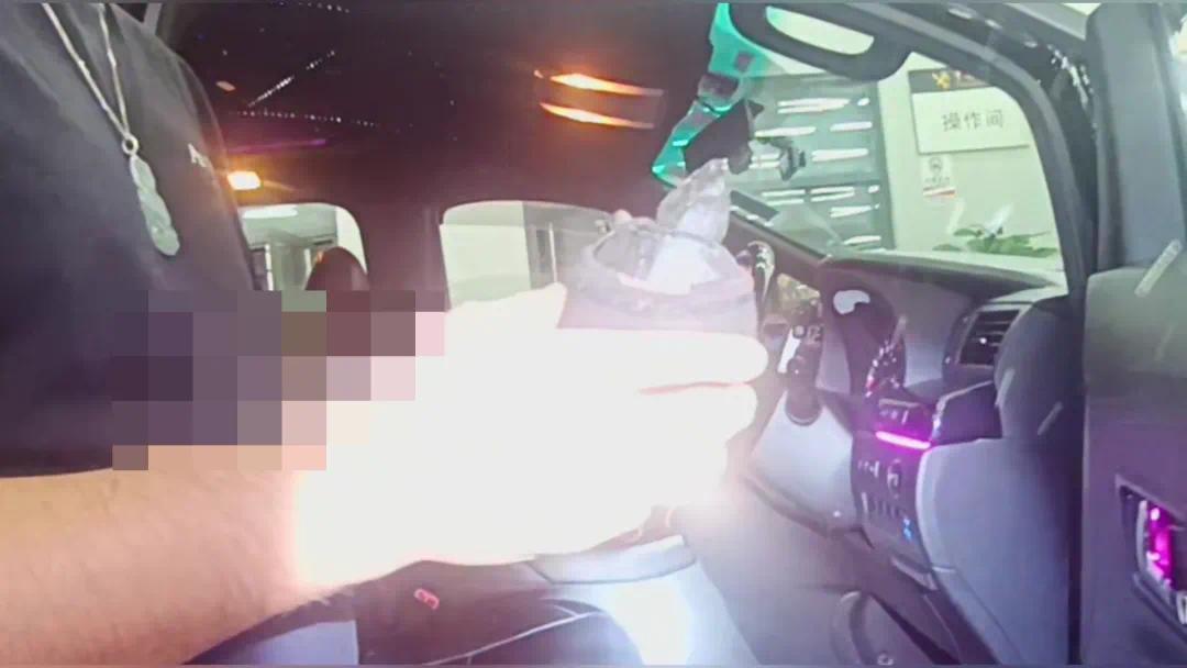 75只濒危龟被塞进袜子藏车底 港珠澳大桥海关当场截获