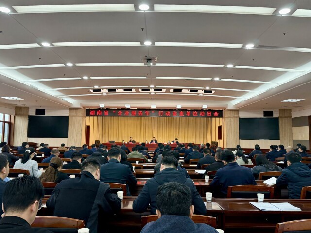 （湖南省“企业服务年”行动省直单位动员会议现场。郑旋 摄）