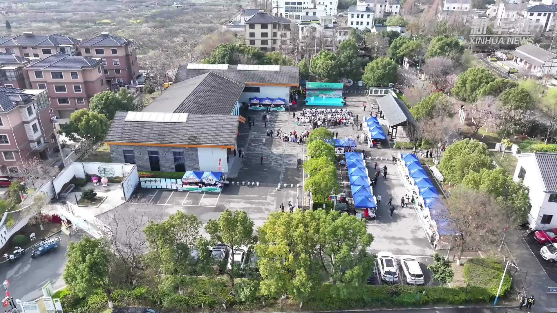 浙江桐乡：槜李花开引客来 文化季里看“共富”