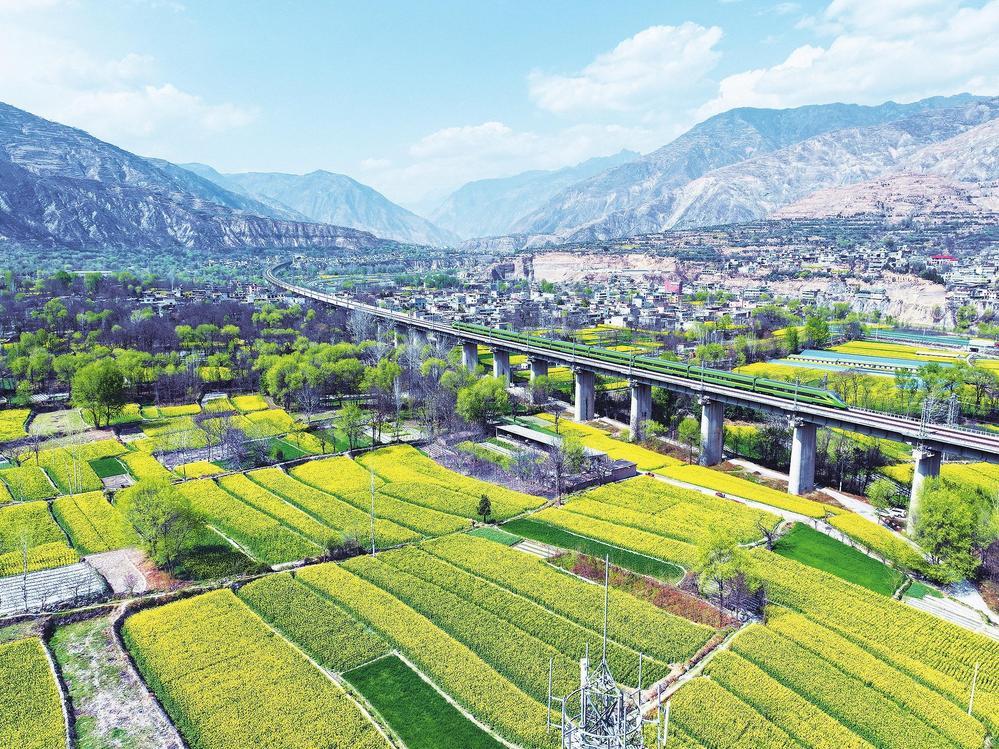 3月24日，宕昌县沙湾镇白龙江沿岸，金黄的油菜花与村庄相映成趣，描绘出一幅美不胜收的春日画卷。新甘肃&middot;甘肃经济日报通讯员　刘辉　摄