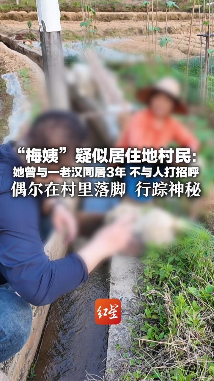 “梅姨”疑似居住地村民：她曾与一老汉同居3年 不与人打招呼 偶尔在村里落脚 行踪神秘 “想来就来，住几天就走”