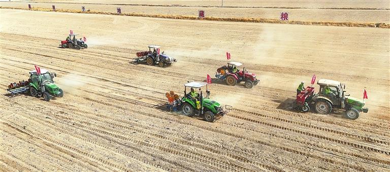 金塔县东坝镇小河口村万亩粮食种植基地,农机手驾驶农机播种小麦。目前,该县10万余亩小麦陆续开播。新甘肃·甘肃日报通讯员 曹红祖