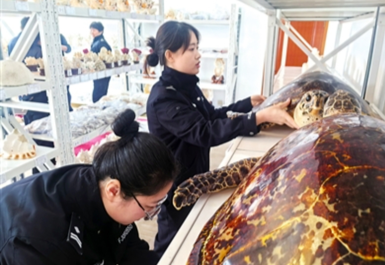 “齐鲁守护&middot;平安相伴” 青山不墨巾帼志 ——青岛崂山女子生态警务队守山护水纪实