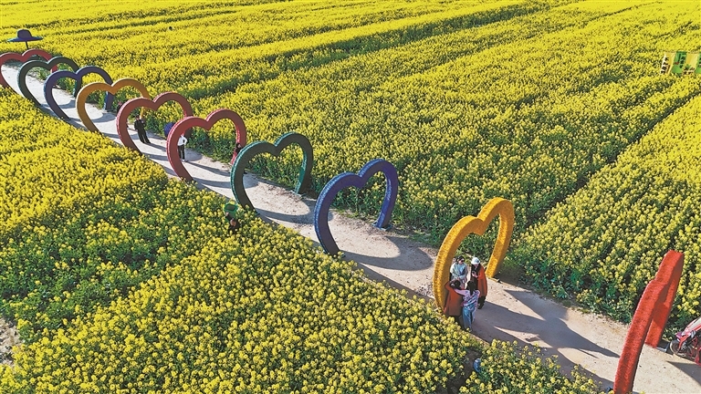 余干县：千亩油菜花引客来（图）