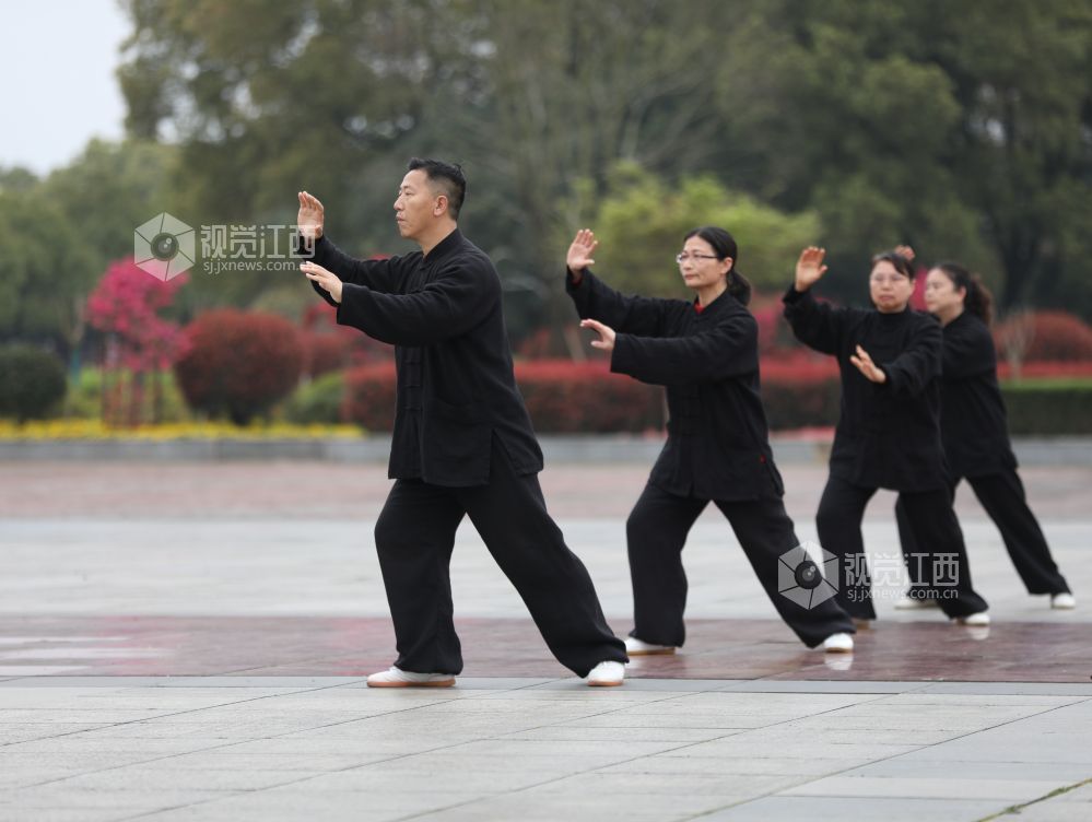 江西分宜:健康生活 太极同行(图)