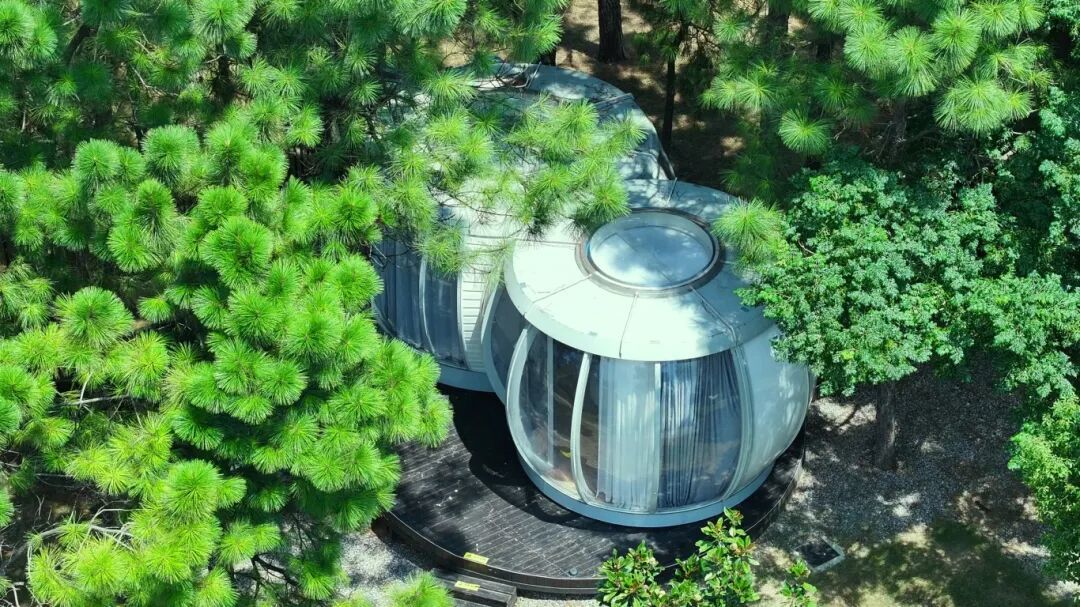 10月13日 (1)(9).jpg