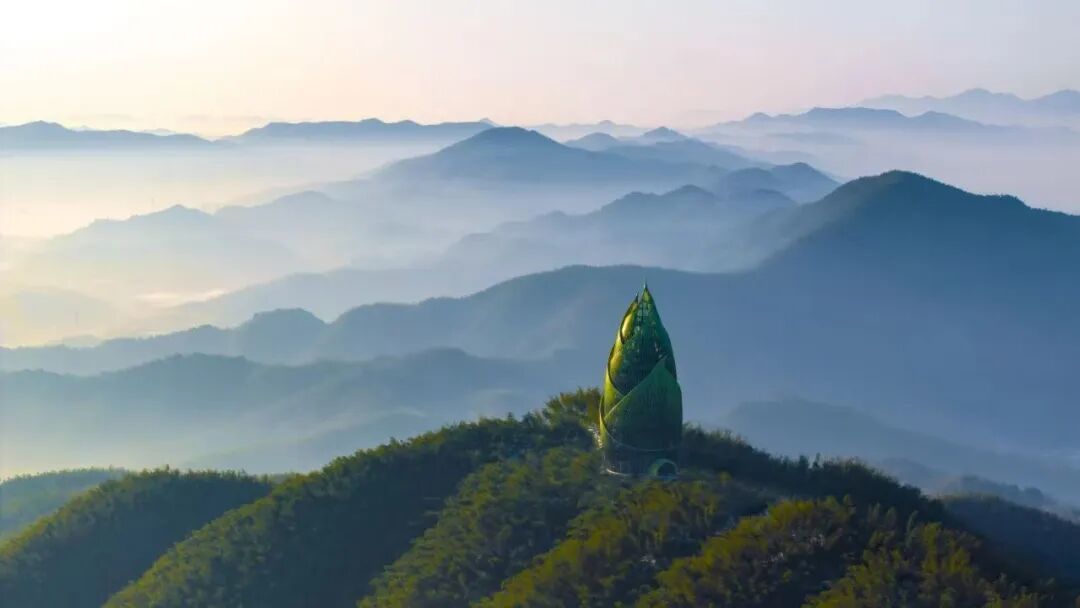 桃花江竹海景区。图/桃花江竹海景区