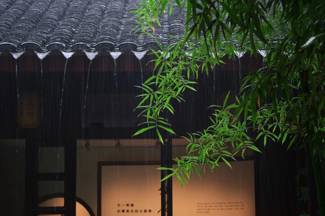 陰雨連軸轉(zhuǎn)！已抵達寧波