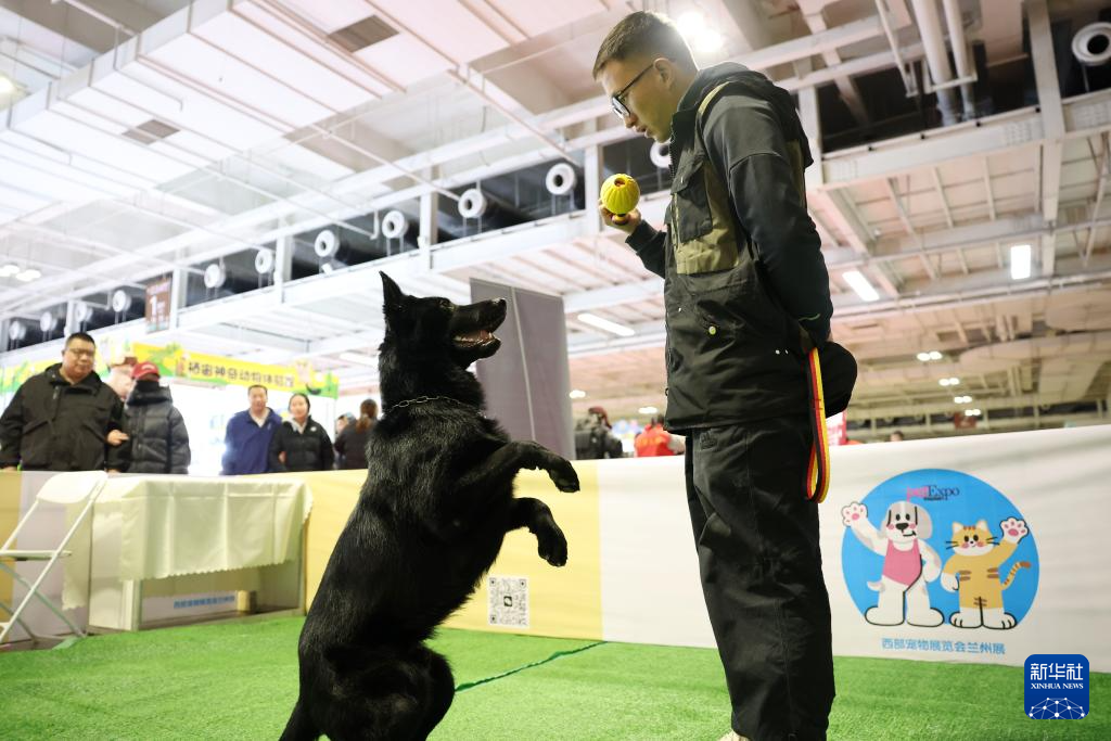 3月27日，训犬师管小刚在2026西部宠物展兰州展上展示训犬。新华社记者　陈斌　摄