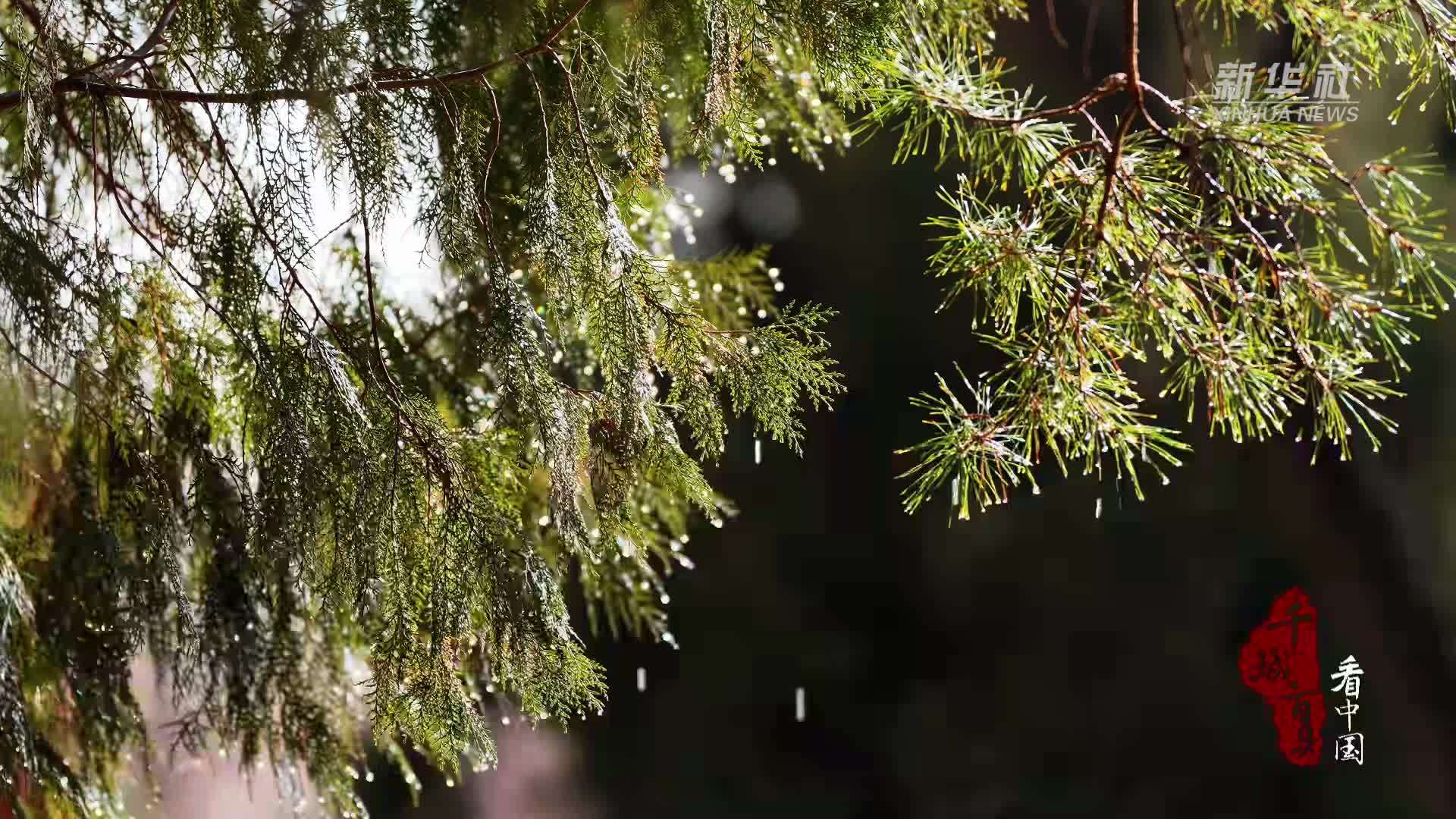 千城百县看中国·赏花季丨内蒙古乌审旗：满城桃花次第开