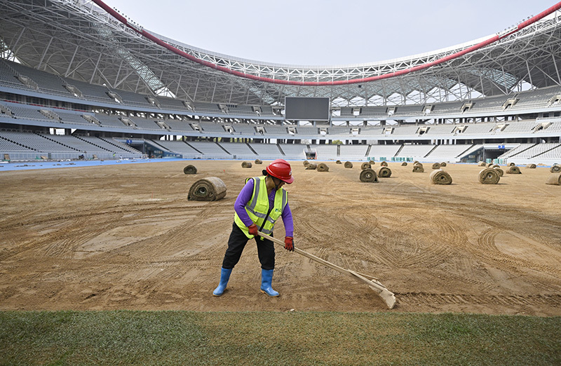 体育场正在进行草坪铺设