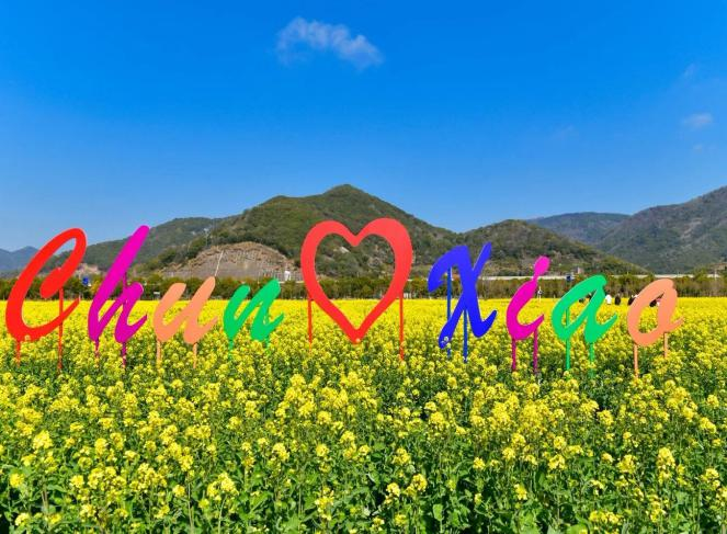 清明赴北仑｜花满山海茶煮春风，解锁春日限定浪漫