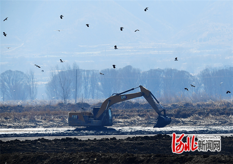 3月20日，张家口市怀来县碱滩村农民在清理池塘淤泥。