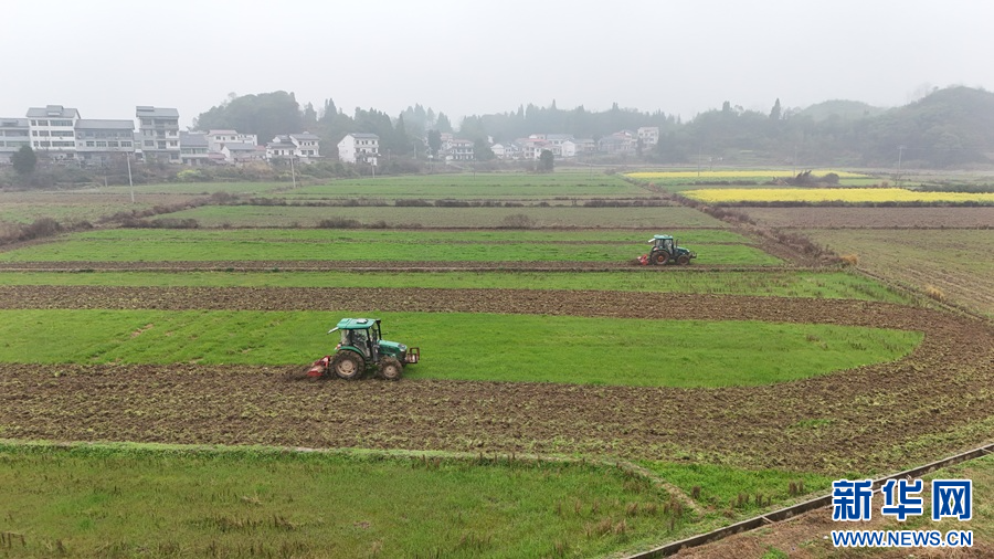 在修水县,农机手驾驶旋耕机进行耕地作业。新华网发 吴圆生 摄