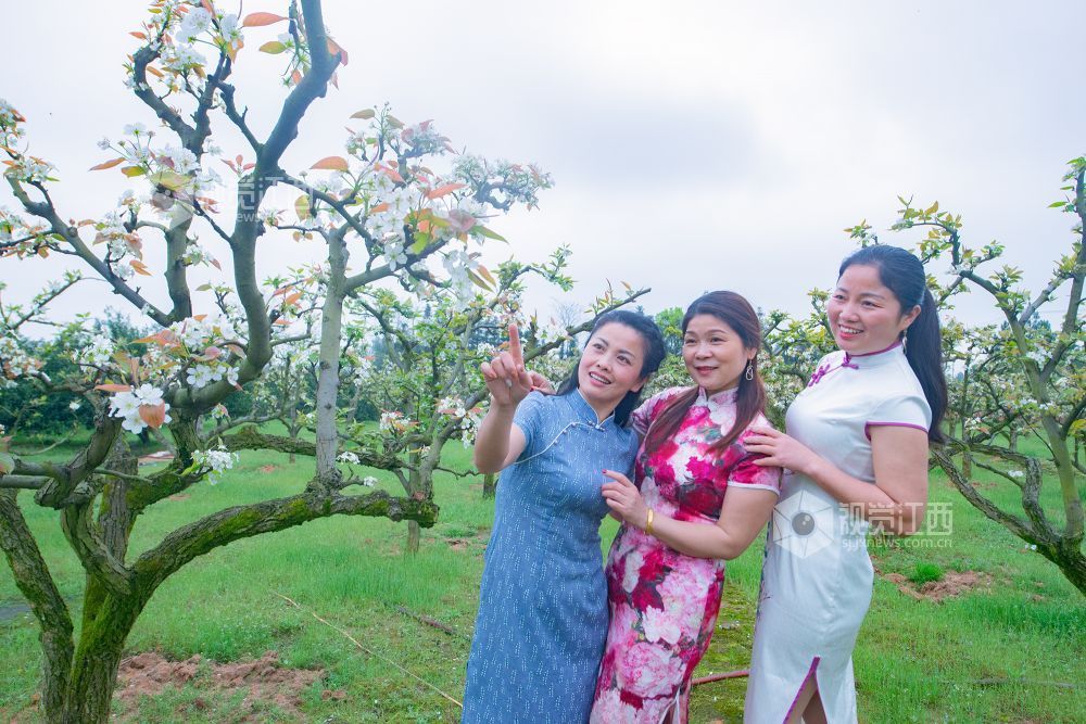 江西金溪：城乡处处花开春意浓（图）