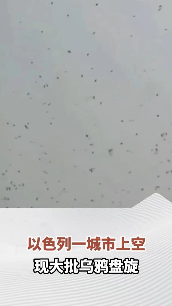 以色列一城市上空现大批乌鸦盘旋，网民直呼“不祥之兆”，专家：是常规季节性迁徙