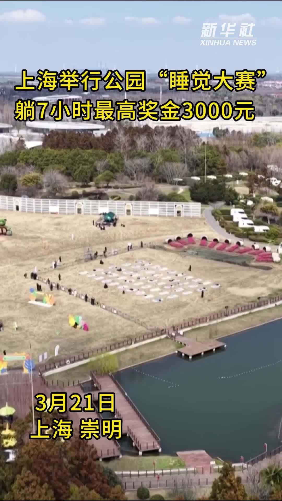 上海举行公园“睡觉大赛”，躺7小时最高奖金3000元