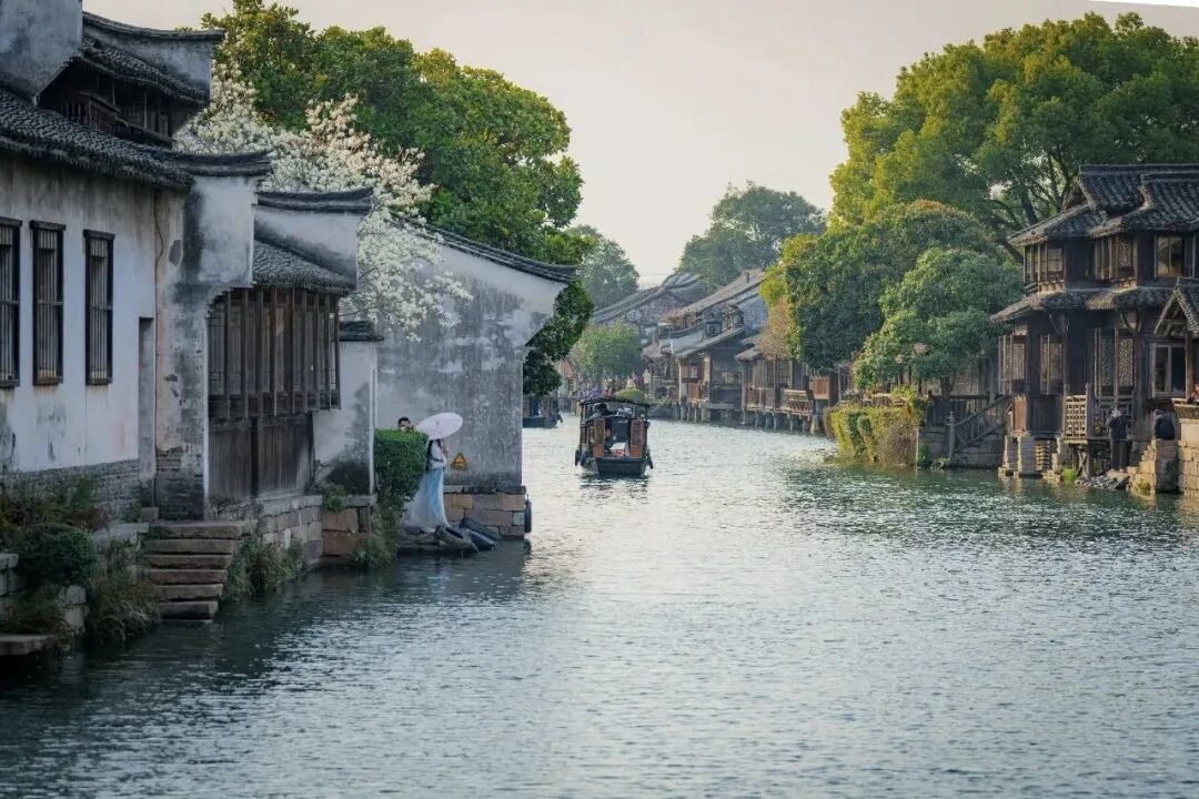 浙江宣传：如果你要写春天