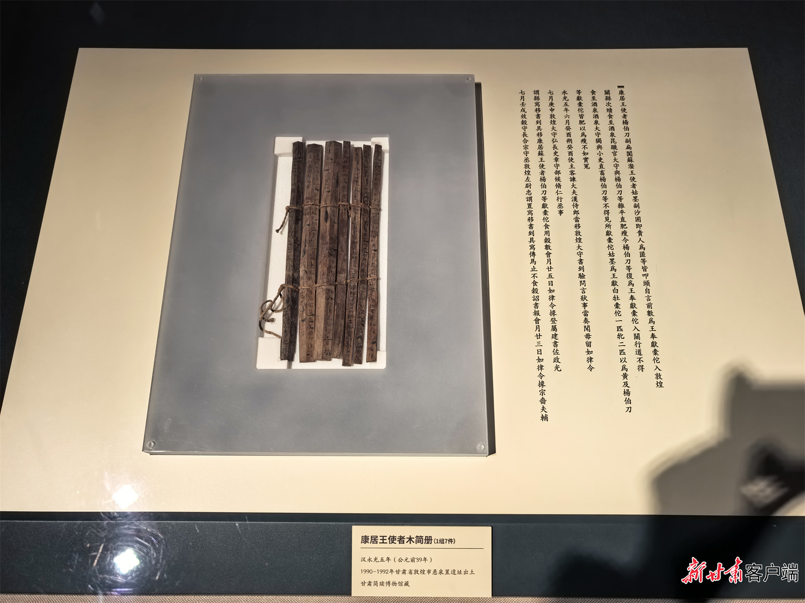 《康居王使者木简册》