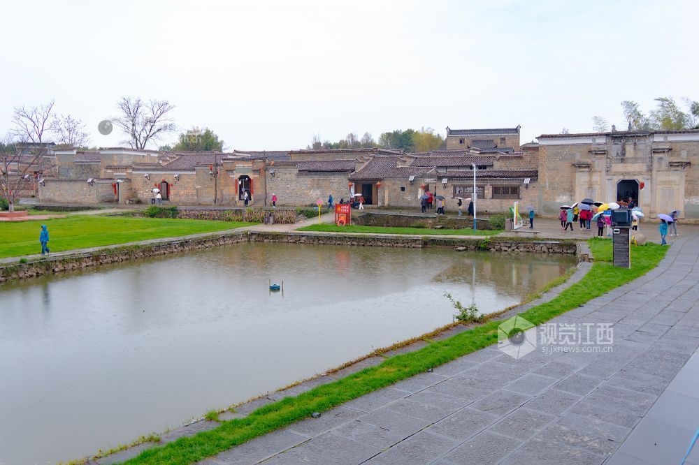 2026年3月20日，江西省金溪县合市镇游垫古村春雨如丝，樱花绽放，与柳条相映成趣。