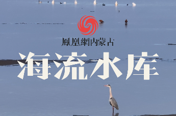 春日生态画卷：南归候鸟停歇土默特左旗海流水库