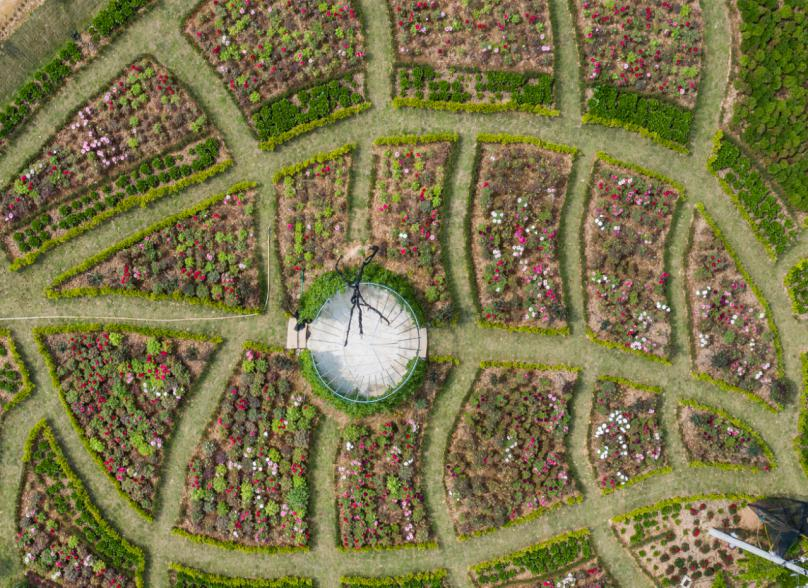 清明赴北仑｜花满山海茶煮春风，解锁春日限定浪漫