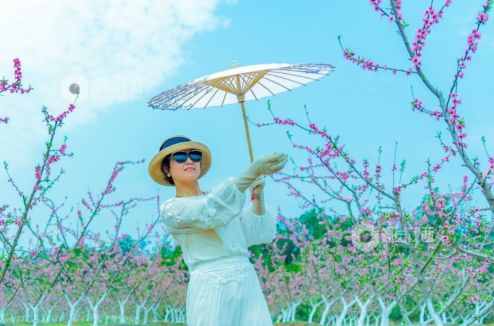 江西金溪：城乡处处花开春意浓（图）