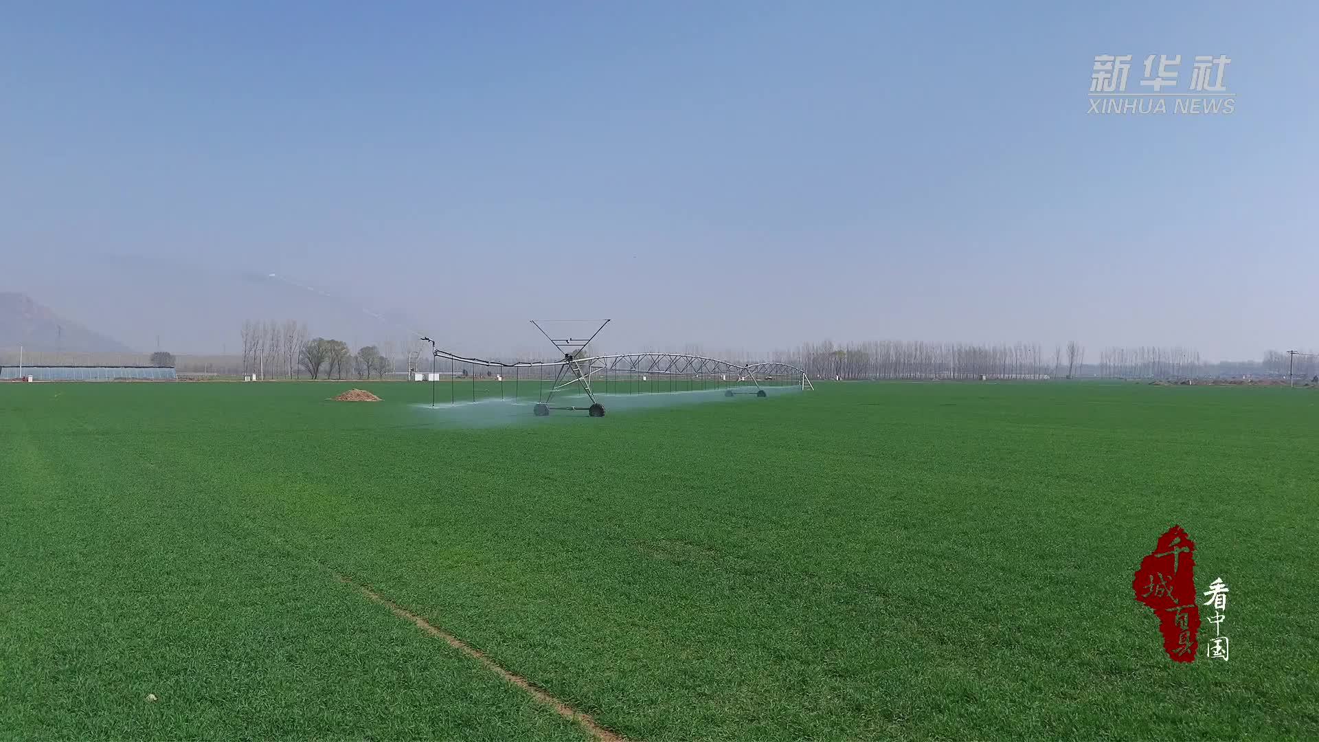 千城百县看中国｜河北曲阳：科技赋能 智慧浇灌