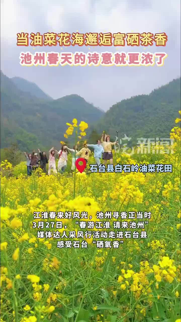 当油菜花海邂逅富硒茶香，池州春天的诗意就更浓了！#山水池州四季如画   #跟着达人游池州  #皖美宝藏小城池州       3月27日，“春游江淮 请来池州”媒体达人采风行活动走进石台县，沉浸式感受石