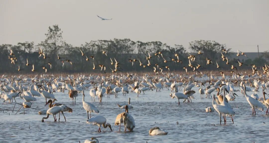 江西日报 记者 朱文标 摄