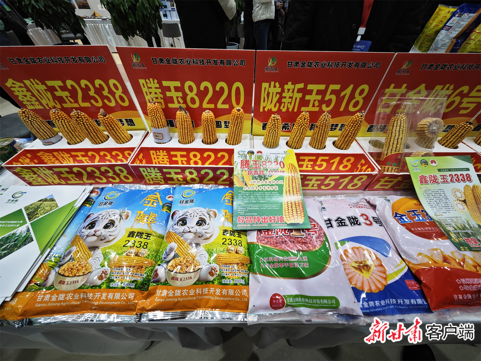 助力张掖从“制种大市”向“种业强市”跨越