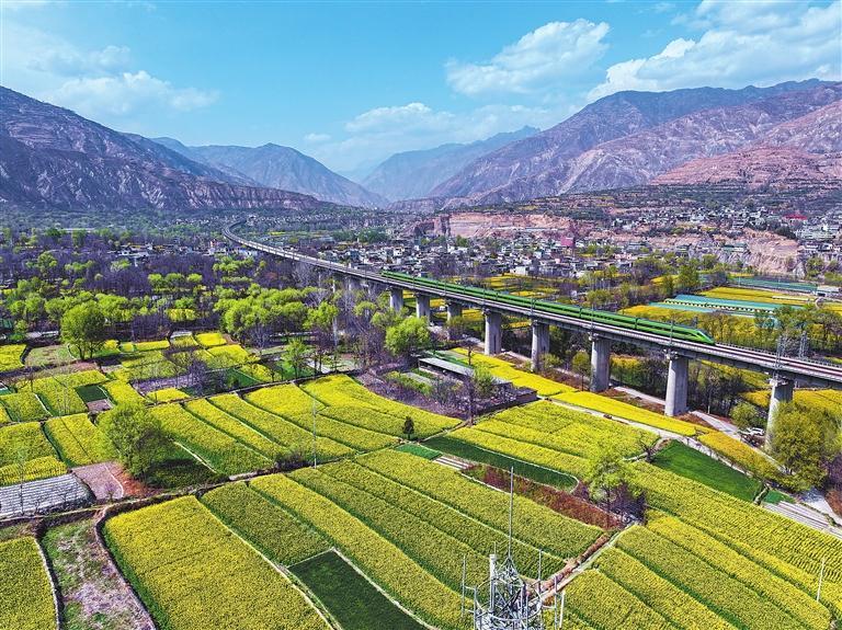 3月24日，宕昌县沙湾镇白龙江沿岸，金黄的油菜花与村庄相映，构成一幅美不胜收的春日画卷。新甘肃&middot;甘肃日报通讯员　刘辉