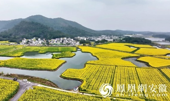 芜湖响水涧｜藏在江淮间的金色梦境