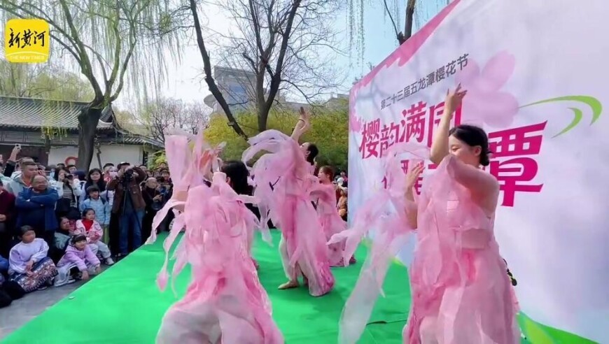 泉畔邂逅春日限定浪漫！第二十三届五龙潭樱花节启幕