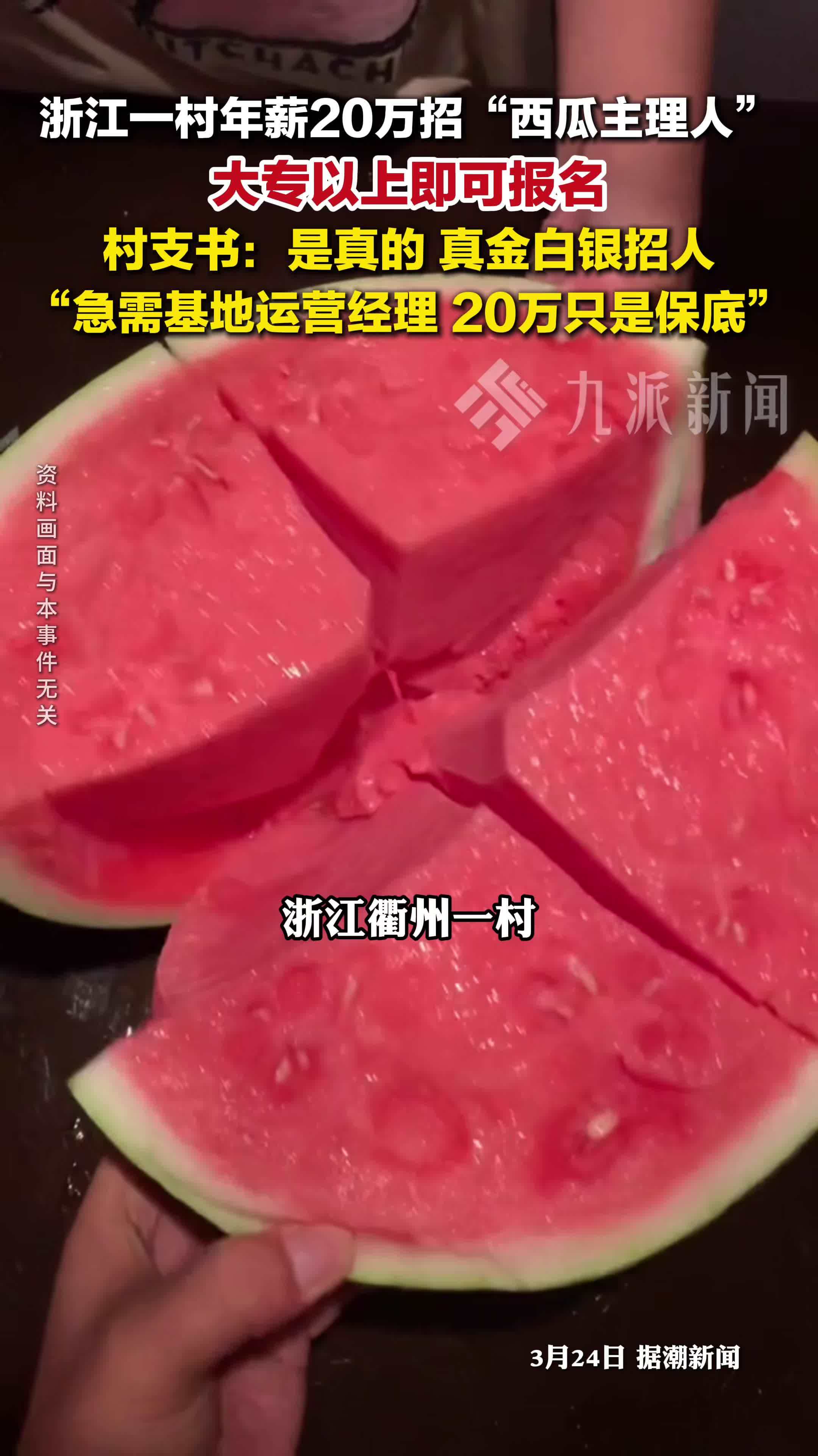 浙江一村年薪20万招西瓜主理人，大专以上即可报名