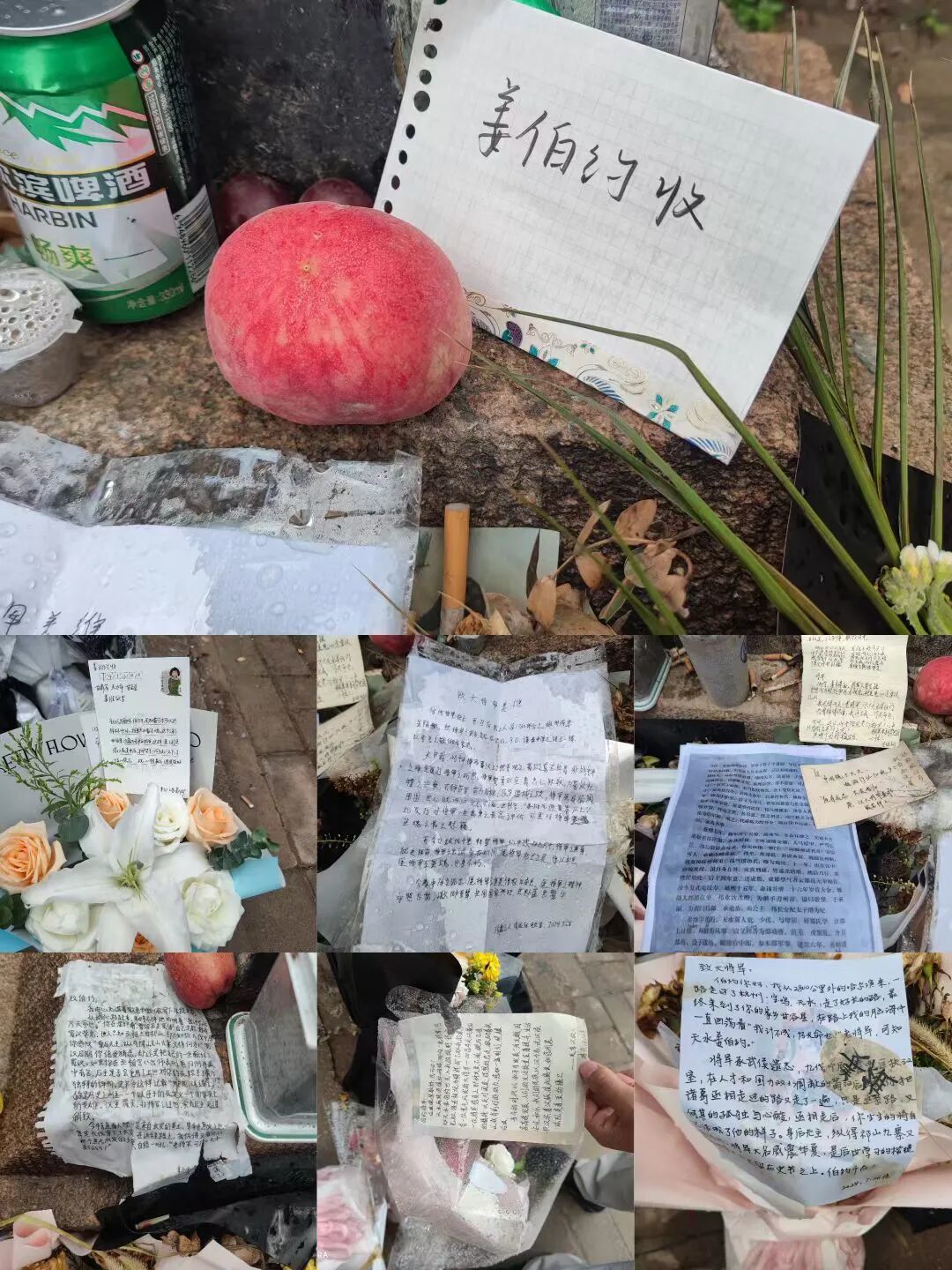 天水甘谷的姜维墓　@香菜打咩