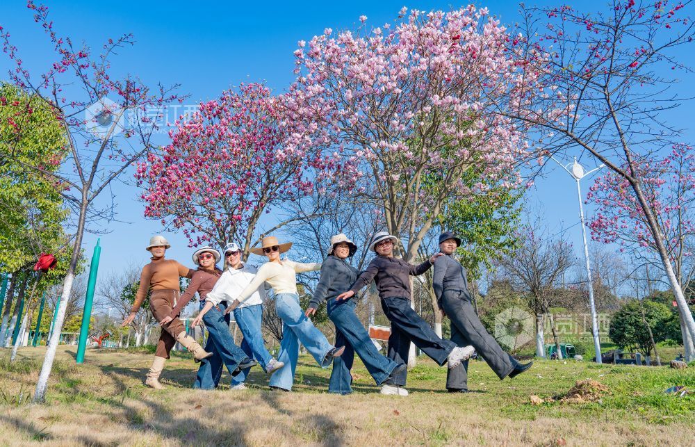 江西金溪：城乡处处花开春意浓（图）