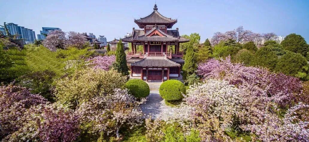 西安跻身清明假期旅游预订热门城市 春季出游市场持续升温