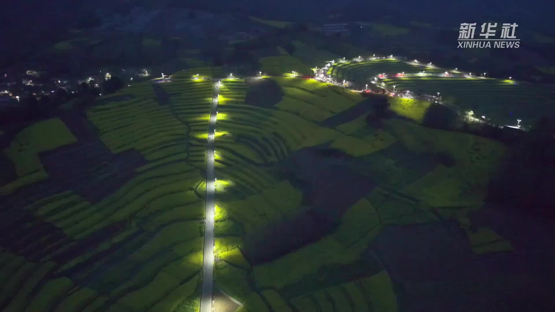 瞰中国丨四川芦山：夜游油菜花田