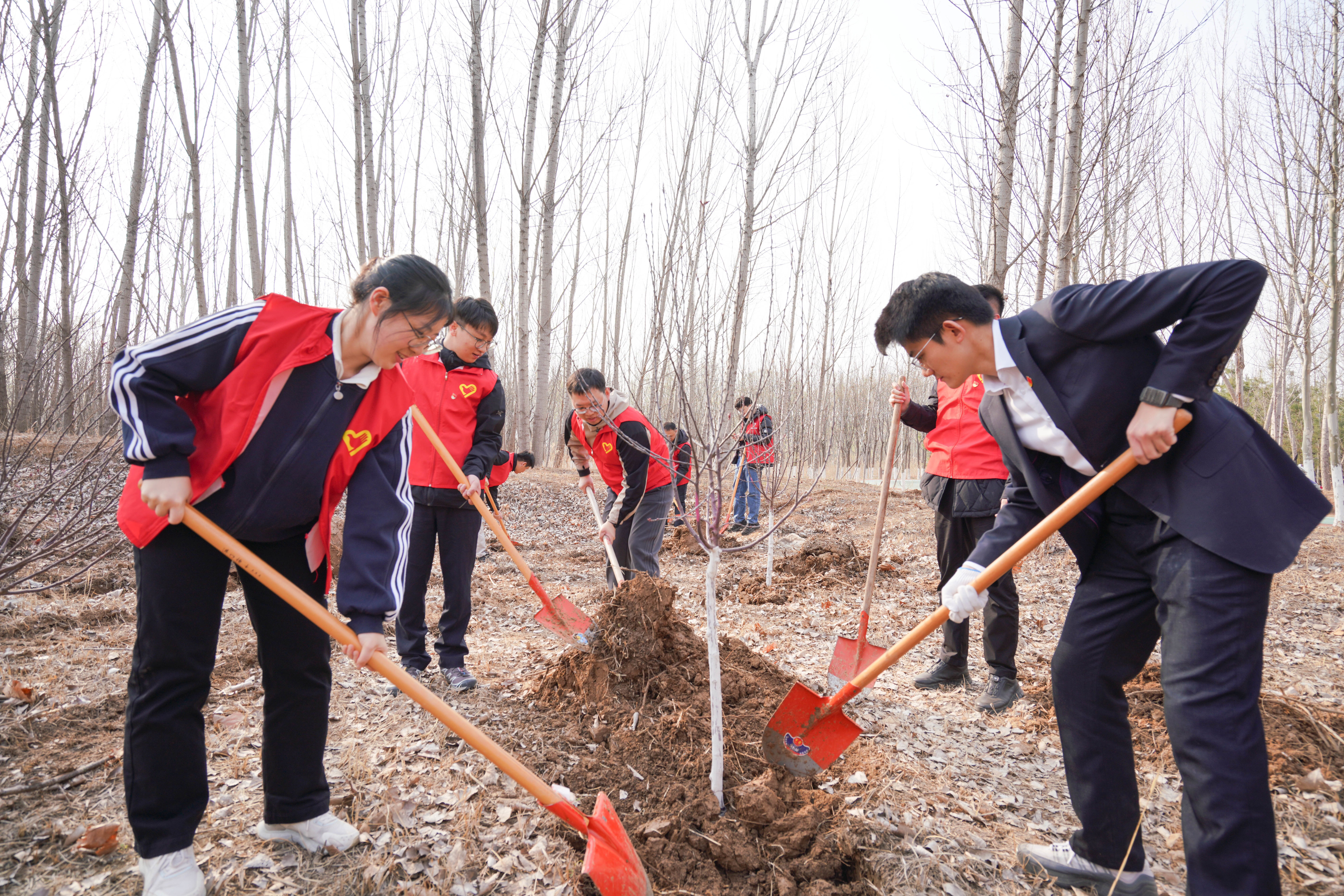 润育新绿践初心 根植厚土源流长