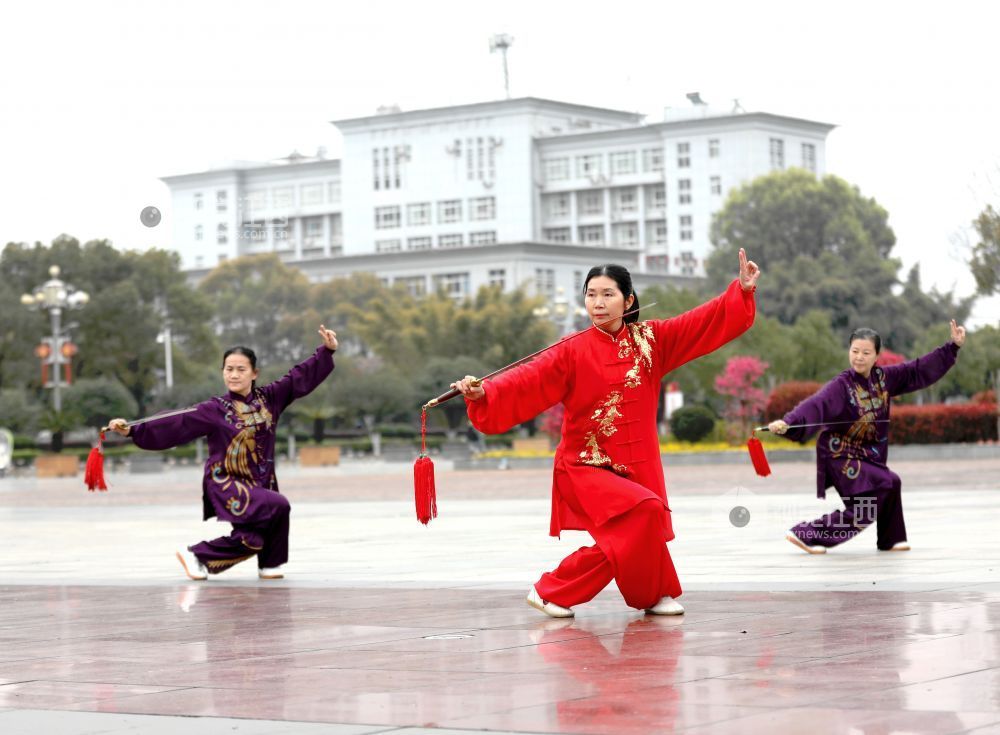 江西分宜:健康生活 太极同行(图)