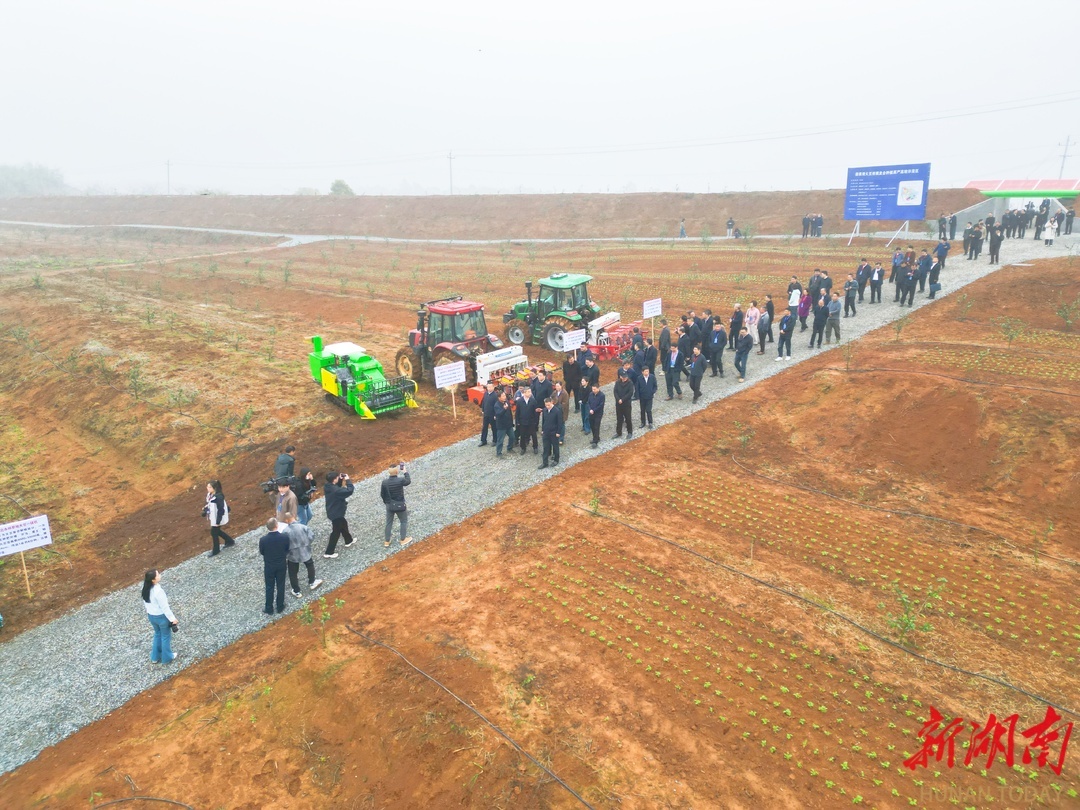 全省春季农业生产工作会议，与会人员参观岳阳县大豆柑橘复合种植示范区。除署名外，本文图片均为湖南日报全媒体记者朱帅铭摄