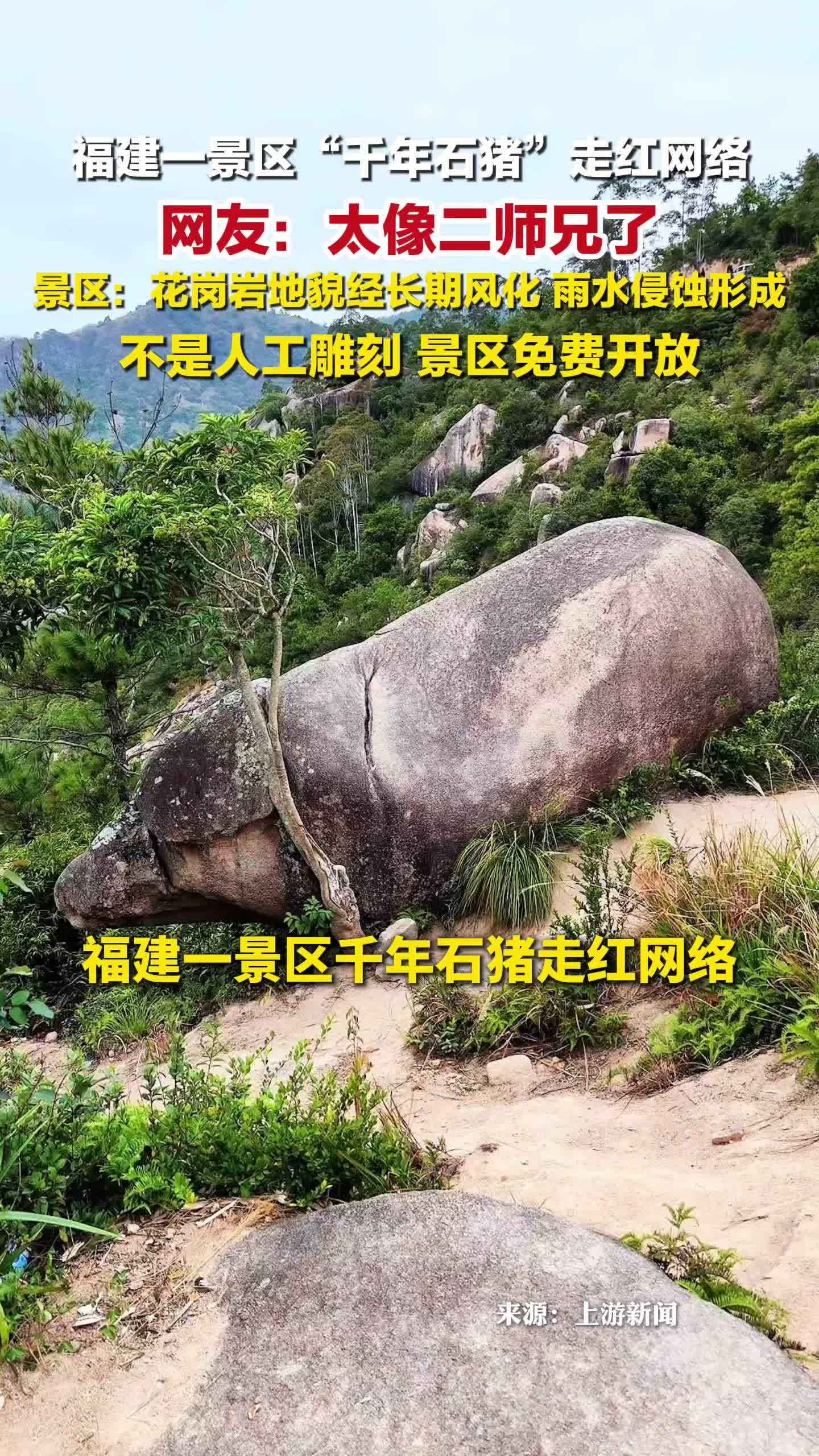景区回应千年石猪走红网络：花岗岩地貌经长期风化、雨水侵蚀形成