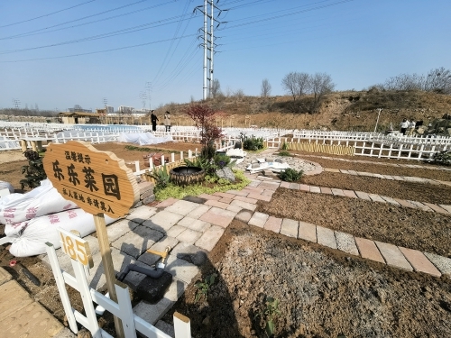 20日，有租户将小菜园打造成一方美景小品。济南时报&middot;新黄河客户端记者牛伟密 摄